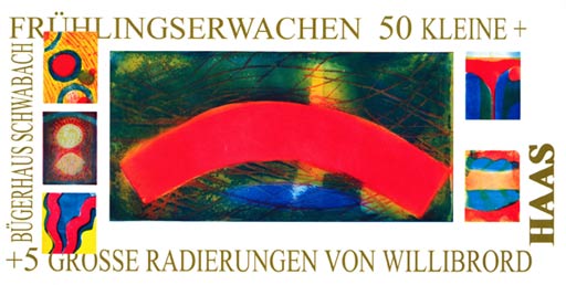 Willibrord Haas im Kunstverein Salzgitter